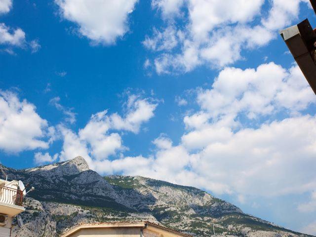 Dana Makarska